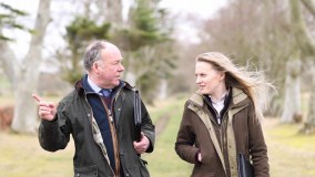 Bell-ingram Chartered Surveyors