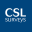 C S L Surveys Group Limited