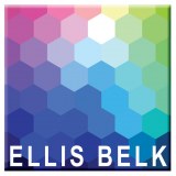 Ellis Belk Associates Limited