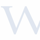 Williams Investment Management