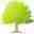 Ashley Timber Limited