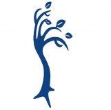 Avon Timber Merchants Limited logo