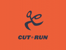 Cut & Run Productions Limited