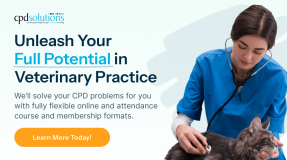 C P D Solutions
