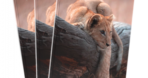 African Pride logo