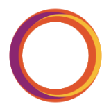 Airline Network Plc