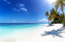 Bond Business Travel