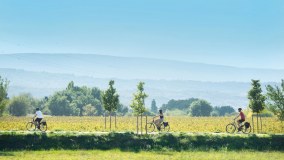Cycling For Softies