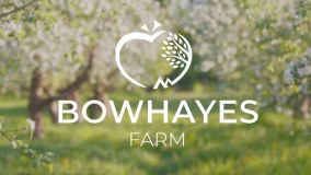 Bowhayes Trees
