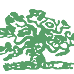 Capel Tree Surgeons