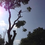 Eastern Landscape Service Limited