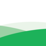 County Turf Limited