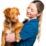 Abingdon Animal Hospital