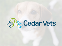 Cedar Vet Group