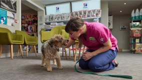 Cheshire Pet Medical Centre Limited