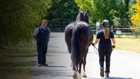 Cliffe Veterinary Group
