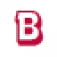Beta Valve Systems Limited logo