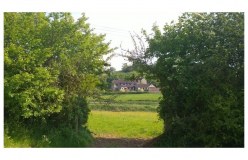 Cameley Lodge