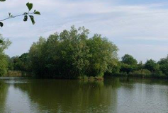 Birds Green Fishing Lakes logo