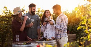 Dunell's Premier Wines Limited