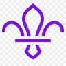Durham Scouts County Association logo