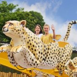 Drusillas Zoo Park Limited