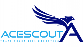 Ace Scout Consulting