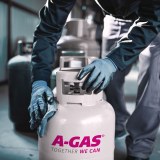 A-gas International Plc logo