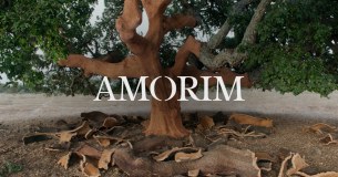 Amorim Limited logo