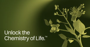 Amyris Essential Oils logo