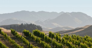 Winegrowers