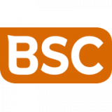 B S C Diecasting Limited logo