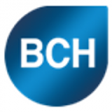 Bch Digital Limited