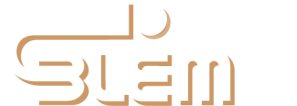 Blem Information Management Limited