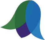 Bluebell Designs Limited logo