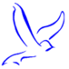 Bluebird Laundry Limited
