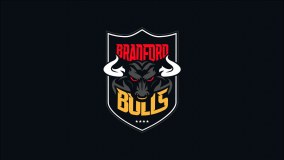 Bradford Bulls Limited