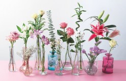 Bunches Flora Post Limited