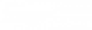 Chip Systems Limited
