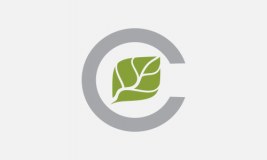 Clarendon School