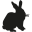 Colette Littman logo