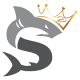 Coveford Data Systems Limited logo
