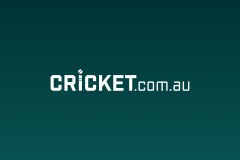Cricket Network logo