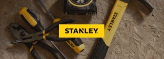 David Stanley Transport logo