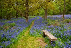 Derbyshire Wildlife Trust Limited