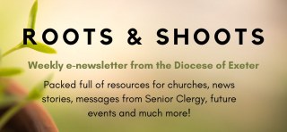 Diocesan Director Of Education logo