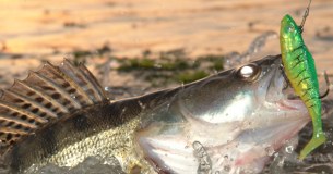 European Fishing Tackle Trade Association