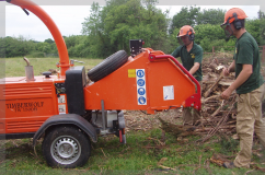 Exe Tree Care