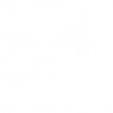 Exige logo