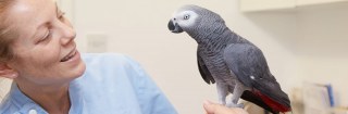 Woodlands Veterinary Clinic